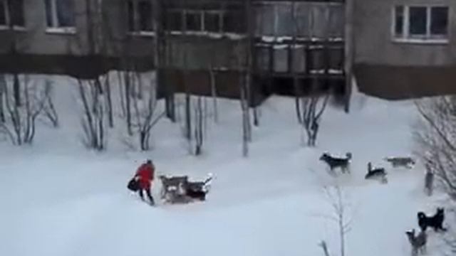 Суровый край (Печора) смотреть онлайн