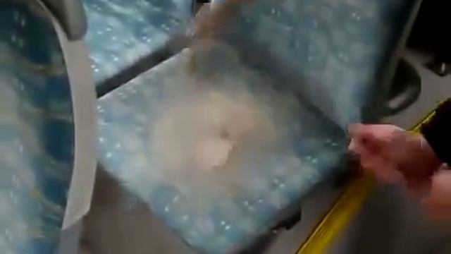 Что скрывается в автобусной сидушке? смотреть онлайн