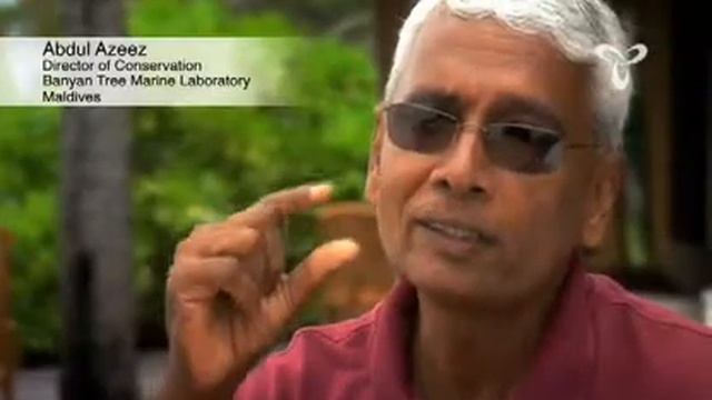 Abdul Azeez, Maldives смотреть онлайн