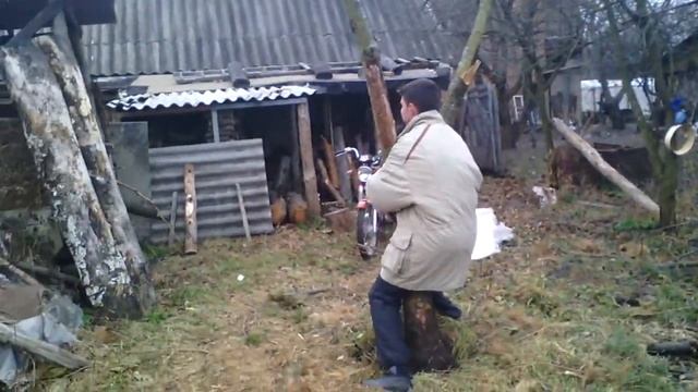 Повал дерева смотреть онлайн