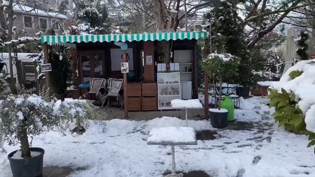 Постучись в мою дверь (цветочный магазин) адрес + видео смотреть онлайн