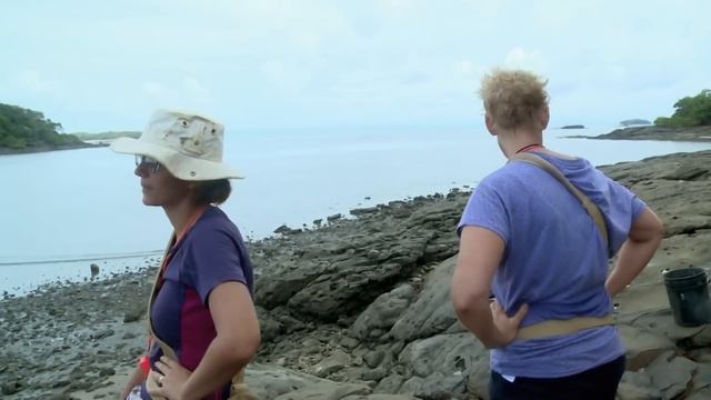 Can Women SURVIVE Better Than Men? ?️ | The Island With Bear Grylls | S02 E02 | Thrill Zone смотреть онлайн