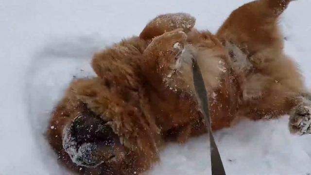 Хошан кайфует)) смотреть онлайн