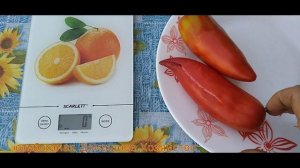 Обзор томата Перцевидный гигант