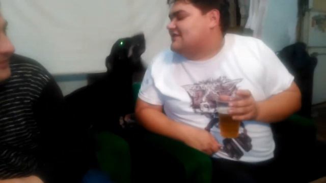 Там где клен шумит смотреть онлайн