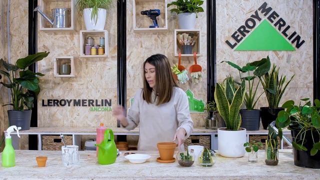 Come moltiplicare la sanseveria e la pilea per talea | Leroy Merlin смотреть онлайн
