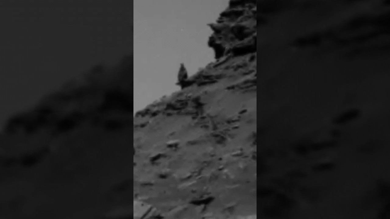 Словно силуэт на Марсе наблюдает за марсоходом Curiosity смотреть онлайн
