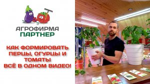 Как формировать перцы, огурцы и томаты. Все в одном видео!