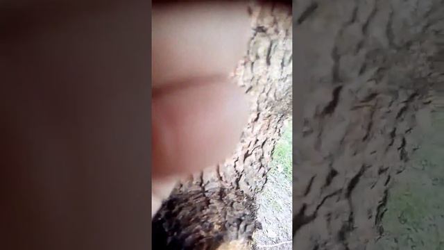 липкие капли смотреть онлайн