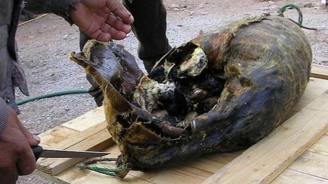 20 самых отвратительных блюд мира