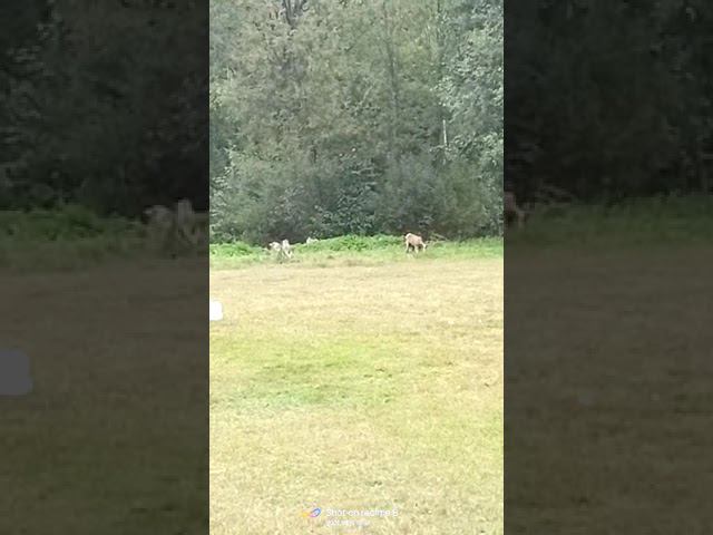 15 сентября 2022 г. смотреть онлайн