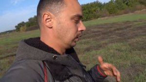 ВЫРАЩИВАНИЕ ШАМПИНЬОНОВ В ДОМАШНИХ УСЛОВИЯХ