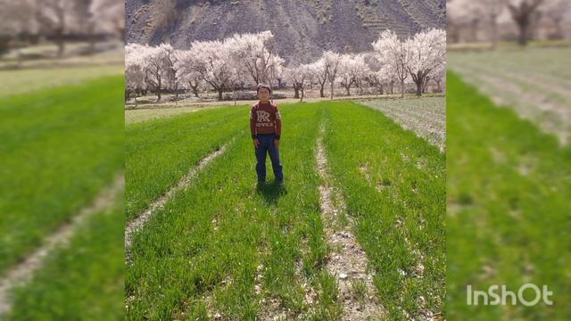 Деҳаи ДАШТИ Оббурдони ноҳияи Кӯҳистони Масчоҳ смотреть онлайн