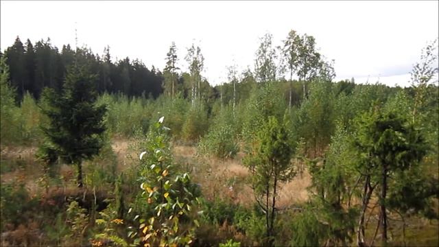 First hunting day 9/13 смотреть онлайн