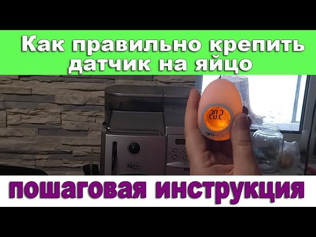 Как правильно крепить, датчик на яйцо уютный дом смотреть онлайн
