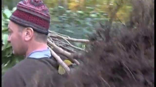 Уход за смородиной, черешней, айвой 12 20 смотреть онлайн