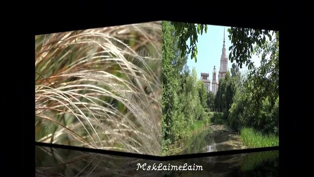 Ботанический сад МГУ имени Ломоносова на Воробьевых горах смотреть онлайн