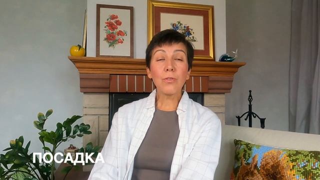 Осенние работы в саду и огороде || 10 шагов, которые надо обязательно сделать на даче в конце сезон смотреть онлайн