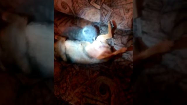 Чужих детей не бывает !😍 смотреть онлайн