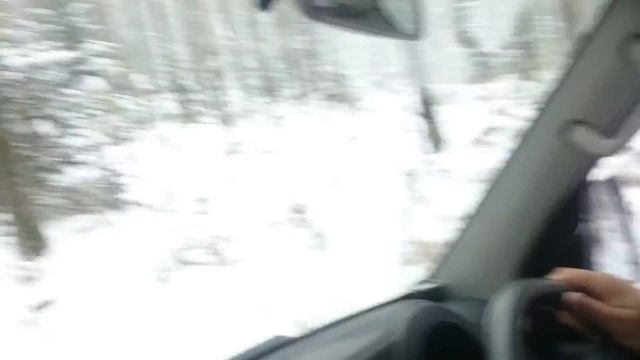 Daihatsu hijet в лесу смотреть онлайн