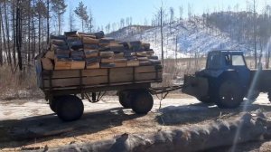 Заготовка дров 2022 г