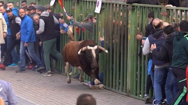 3 toros de cajón de la Navidad 2022 Yuncos смотреть онлайн