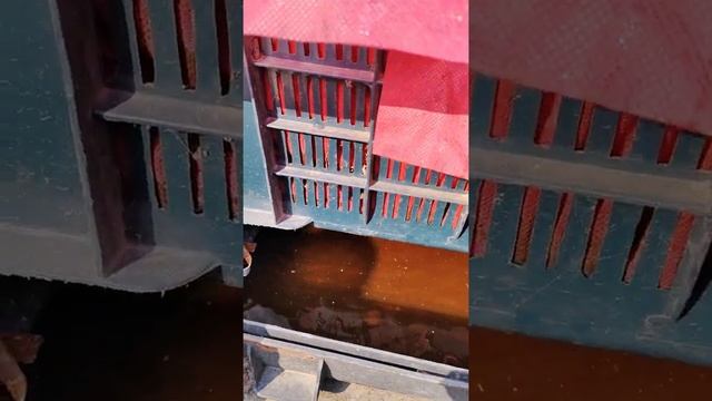 কিচেন ওয়েস্ট দিয়ে আমি কি ভাবে তরল সার তৈরি করি তার প্রস্তুত প্রনালী ও সংরক্ষন পদ্ধতি। смотреть онлайн
