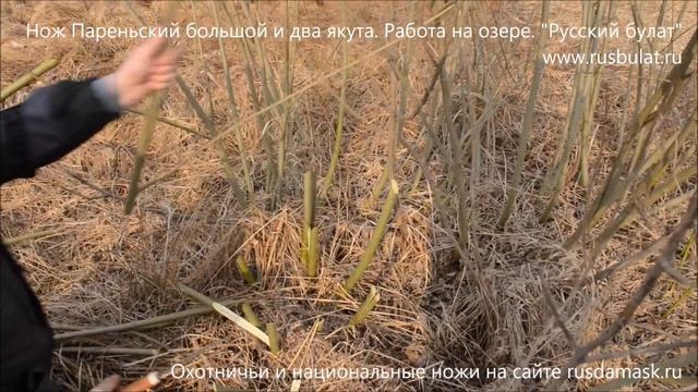 Нож Пареньский большой и два якута. Работа на озере. Компания Русский булат, VLOG смотреть онлайн