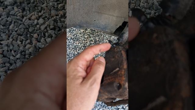 React Лаборатория