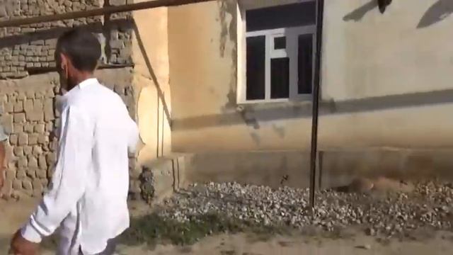 Fargona Tumani Kaptarxona Qishlogida Vaziyat Ogir