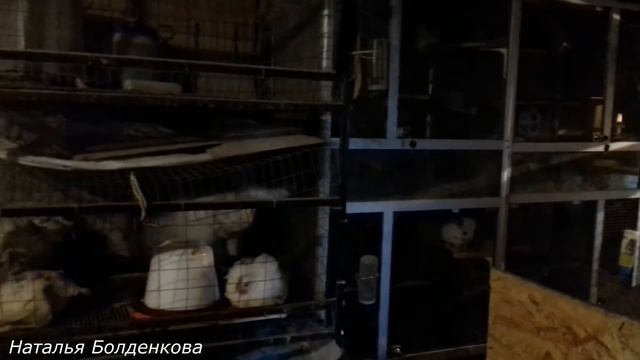 В гостях у Лены в Москве. Обзор хозяйства. смотреть онлайн