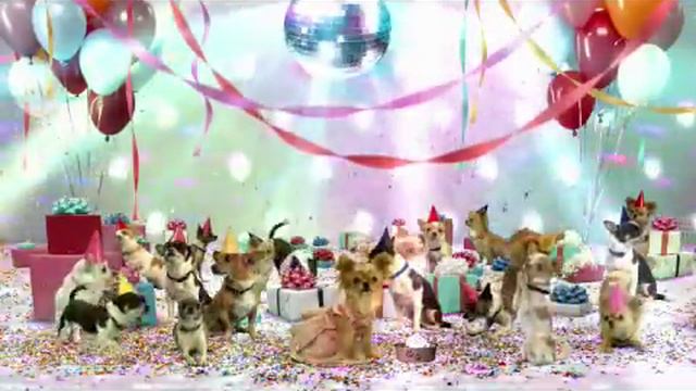 Disney's Beverly Hills Chihuahua 3 - Bande Annonce смотреть онлайн