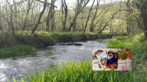 ? Тиовит Джет. ПАНАЦЕЯ? Где зарыта ПРАВДА. Пестицид контактного действия для винограда. Инструкция.