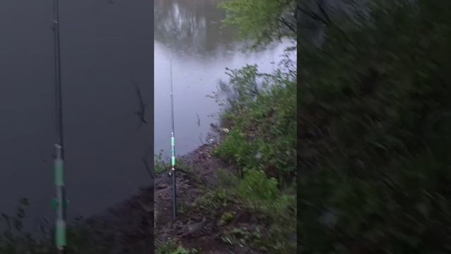 первый выезд на рыбалку 2023 году устья рек Большая Каменка и Северский Донец смотреть онлайн