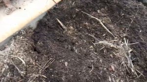 Избавьте почву от червей!