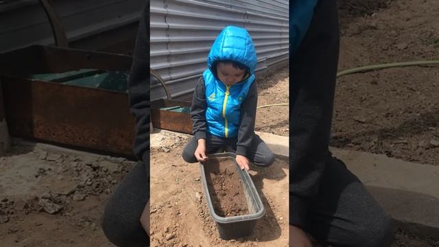 обзор Алдияра про мокрый песок смотреть онлайн