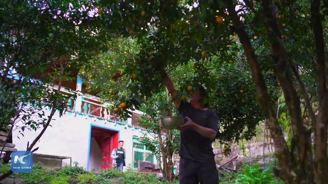 Tales of Tibetans: The Treasure of the "Secret Lotus" смотреть онлайн