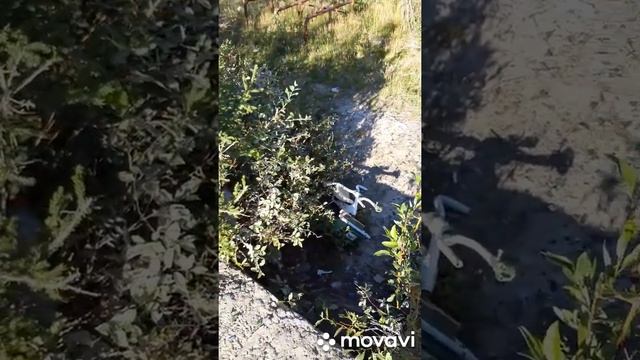 Гонки на квадроциклах в Якутии. смотреть онлайн