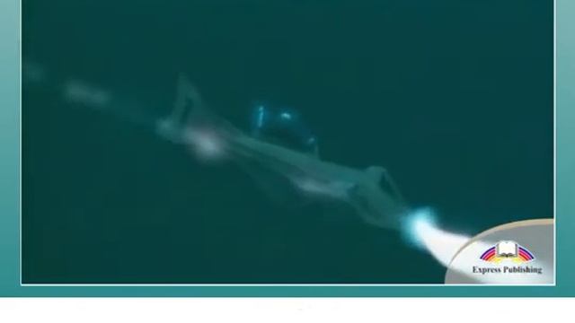 The Lost City (Video) Excel 8 Module 5 смотреть онлайн