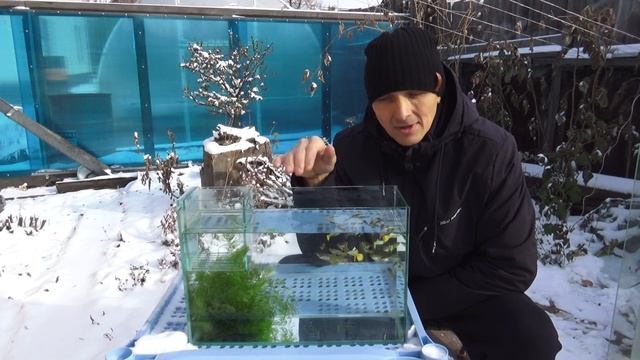 2 ГУППИ!ПОЛУЧАТЬ МАЛЬКА КАК ЭФФЕКТИВНЕЙ смотреть онлайн