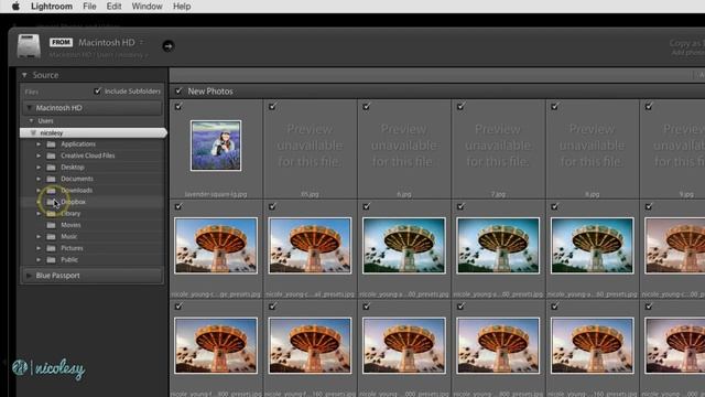 Importing existing files into Lightroom Classic смотреть онлайн