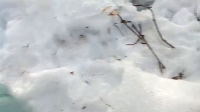 Сбор Клинового Сока смотреть онлайн