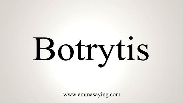 How To Say Botrytis смотреть онлайн
