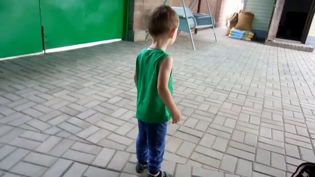 VLOG: Про Маку и Пилота / Дефекты щенка / Мая отказывается от своего сына смотреть онлайн