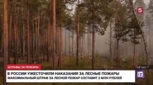 09.06.2022 Пятый канал # Известия, Санкт-Петербург.mp4