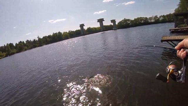РЫБАЛКА НА ВОБЛЕРА ВЕСНОЙ С БЕРЕГА НА СПИННИНГ! ПОПАЛСЯ БОНУС! ##срыбалки #рыбалканаспиннинг смотреть онлайн
