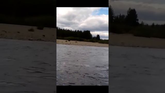 ЯНАО. Погоня за диким оленем. смотреть онлайн