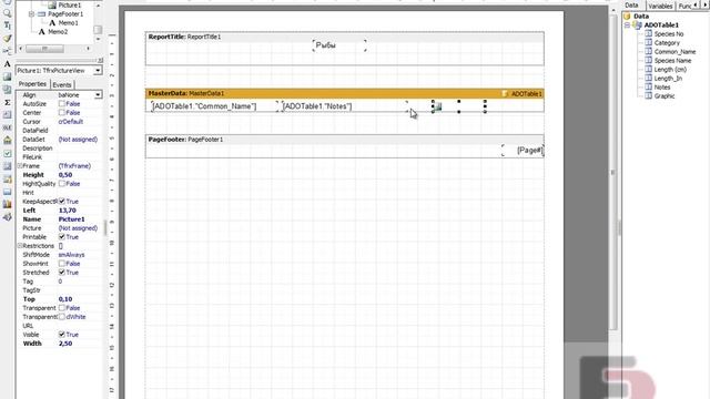 Отчёт Многострочный текст в FastReport VCL