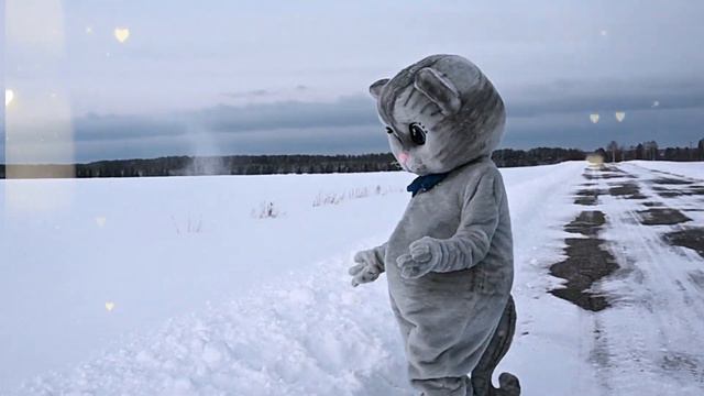 Что получится если Котик гуляет по снегу? смотреть онлайн